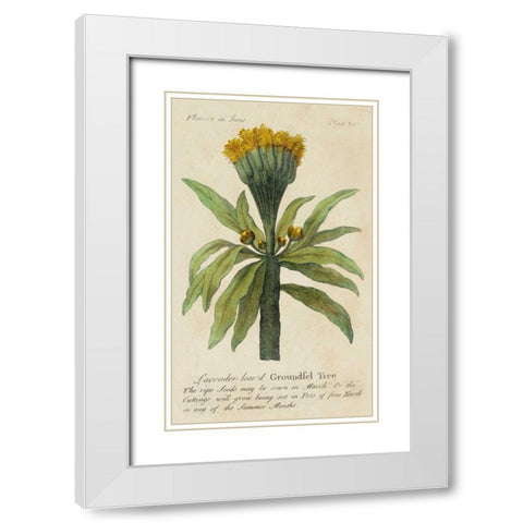 Gardeners Guide IV White Modern Wood Framed Art Print with Double Matting by Unknown