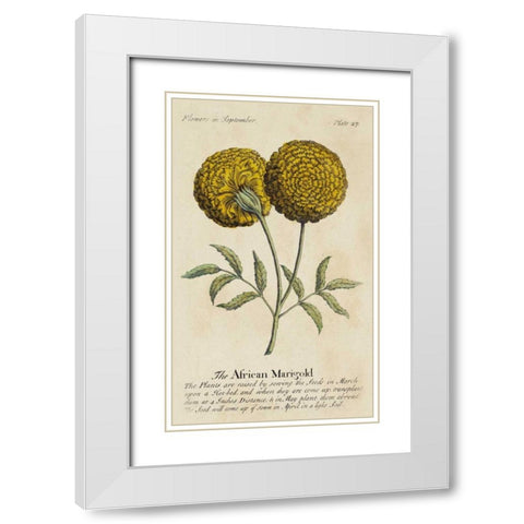 Gardeners Guide V White Modern Wood Framed Art Print with Double Matting by Unknown