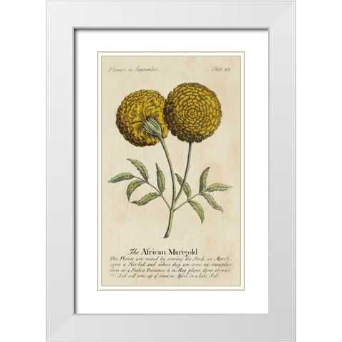 Gardeners Guide V White Modern Wood Framed Art Print with Double Matting by Unknown
