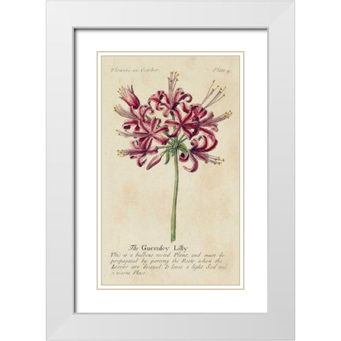 Gardeners Guide VII White Modern Wood Framed Art Print with Double Matting by Unknown