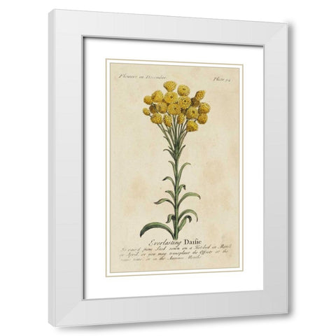 Gardeners Guide VIII White Modern Wood Framed Art Print with Double Matting by Unknown