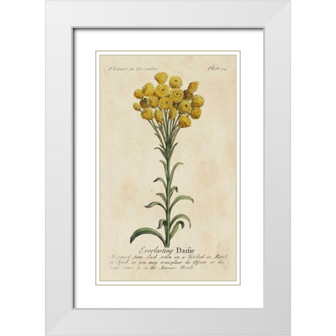 Gardeners Guide VIII White Modern Wood Framed Art Print with Double Matting by Unknown