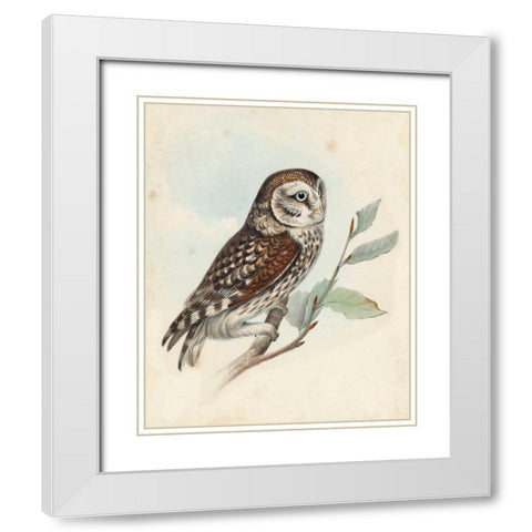 Meyer Little Owl White Modern Wood Framed Art Print with Double Matting by Meyer, H.L.