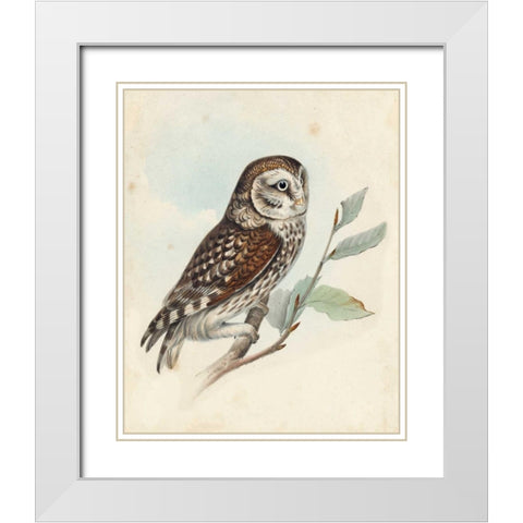 Meyer Little Owl White Modern Wood Framed Art Print with Double Matting by Meyer, H.L.