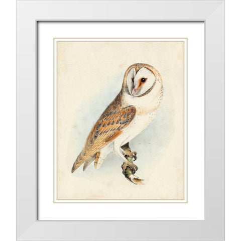Meyer Barn Owl White Modern Wood Framed Art Print with Double Matting by Meyer, H.L.