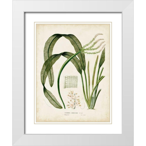 Tropical Grass I White Modern Wood Framed Art Print with Double Matting by Vision Studio