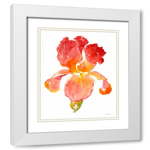 Sunset Blooms I White Modern Wood Framed Art Print with Double Matting by OToole, Tim