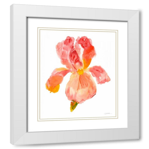 Sunset Blooms II White Modern Wood Framed Art Print with Double Matting by OToole, Tim