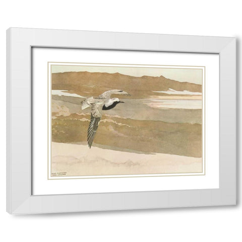 Soaring White Modern Wood Framed Art Print with Double Matting by Sutton, George