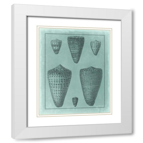 Spa Shell Collection I White Modern Wood Framed Art Print with Double Matting by Vision Studio