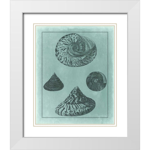 Spa Shell Collection II White Modern Wood Framed Art Print with Double Matting by Vision Studio
