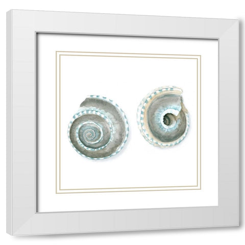 Watercolor Shells IV White Modern Wood Framed Art Print with Double Matting by Meagher, Megan