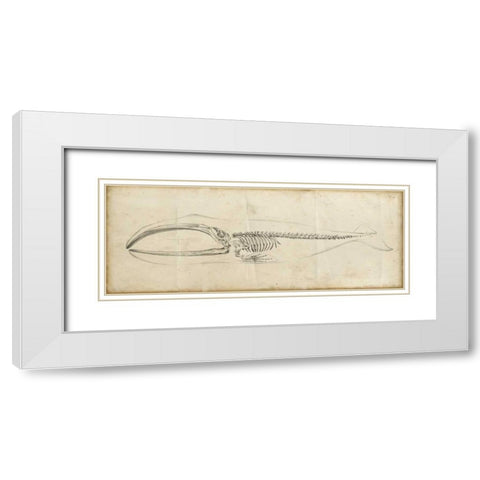 Whale Study I White Modern Wood Framed Art Print with Double Matting by Harper, Ethan