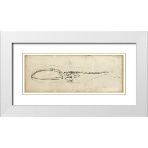 Whale Study I White Modern Wood Framed Art Print with Double Matting by Harper, Ethan