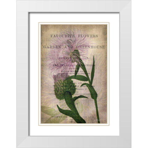 Favorite Flowers II White Modern Wood Framed Art Print with Double Matting by Butler, John