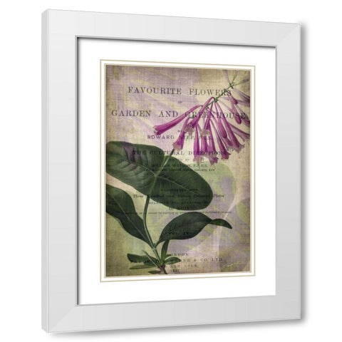 Favorite Flowers III White Modern Wood Framed Art Print with Double Matting by Butler, John