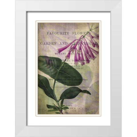 Favorite Flowers III White Modern Wood Framed Art Print with Double Matting by Butler, John