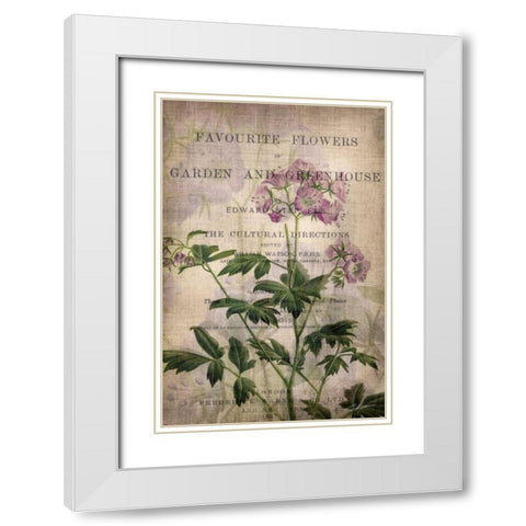 Favorite Flowers IV White Modern Wood Framed Art Print with Double Matting by Butler, John