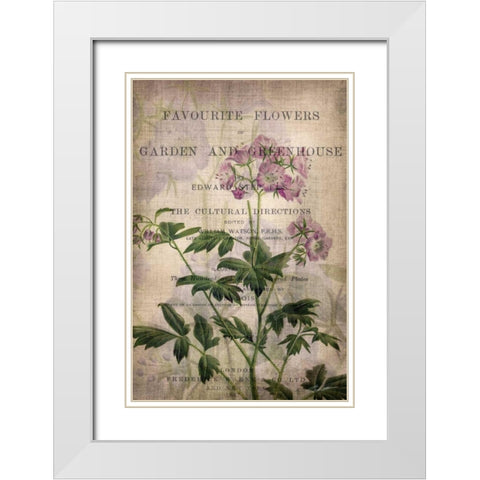 Favorite Flowers IV White Modern Wood Framed Art Print with Double Matting by Butler, John