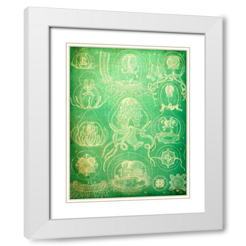 Sealife IV White Modern Wood Framed Art Print with Double Matting by Butler, John