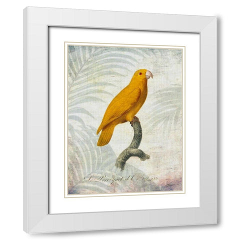 Parrot Jungle V White Modern Wood Framed Art Print with Double Matting by Butler, John