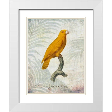 Parrot Jungle V White Modern Wood Framed Art Print with Double Matting by Butler, John