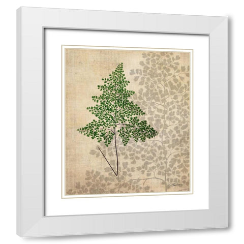 British Ferns I White Modern Wood Framed Art Print with Double Matting by Butler, John
