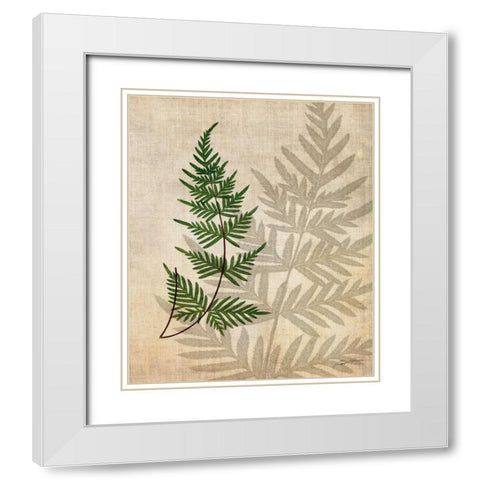 British Ferns III White Modern Wood Framed Art Print with Double Matting by Butler, John