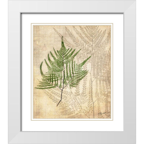 British Ferns V White Modern Wood Framed Art Print with Double Matting by Butler, John