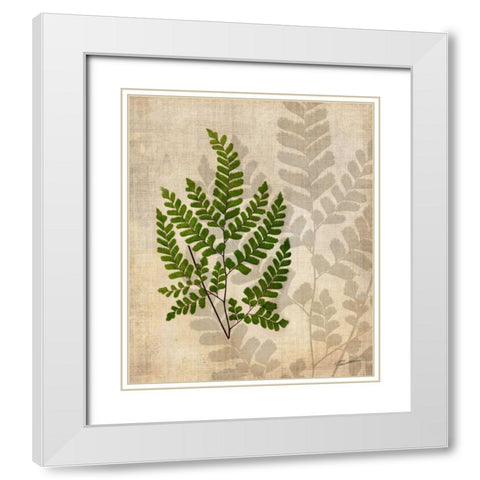 British Ferns VI White Modern Wood Framed Art Print with Double Matting by Butler, John