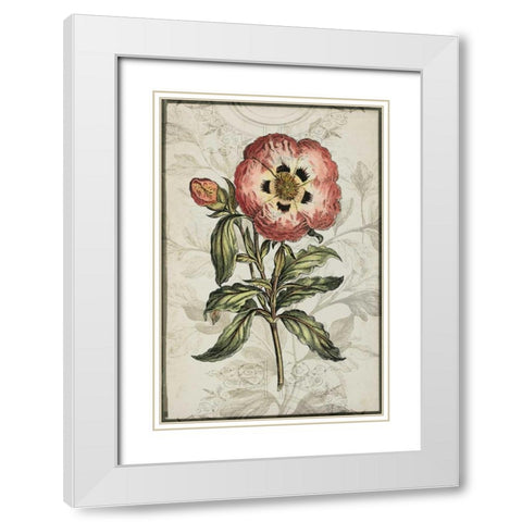 Keepsake Floral II White Modern Wood Framed Art Print with Double Matting by Goldberger, Jennifer