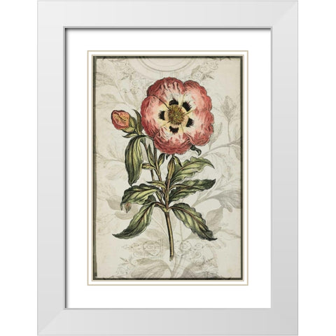 Keepsake Floral II White Modern Wood Framed Art Print with Double Matting by Goldberger, Jennifer