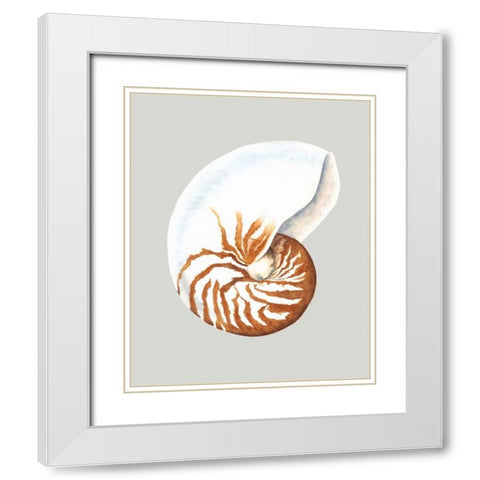 Nautilus White Modern Wood Framed Art Print with Double Matting by Willett, Michael