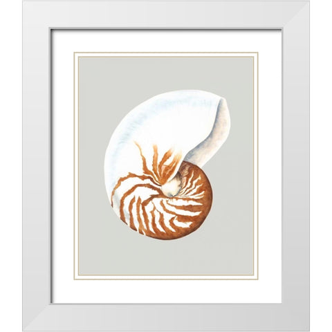 Nautilus White Modern Wood Framed Art Print with Double Matting by Willett, Michael