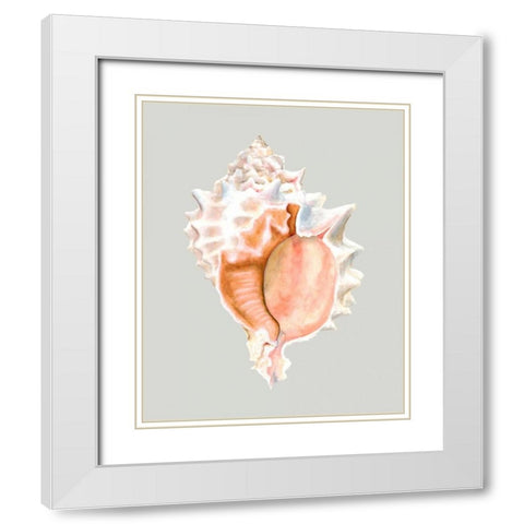 Pink Murex White Modern Wood Framed Art Print with Double Matting by Willett, Michael