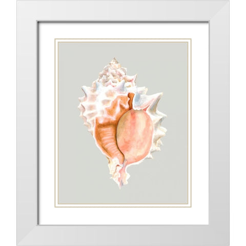 Pink Murex White Modern Wood Framed Art Print with Double Matting by Willett, Michael