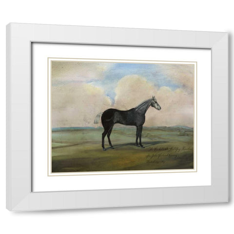 The Kicker- A Steel Grey Racehorse White Modern Wood Framed Art Print with Double Matting by McCavitt, Naomi