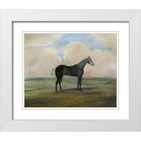The Kicker- A Steel Grey Racehorse White Modern Wood Framed Art Print with Double Matting by McCavitt, Naomi