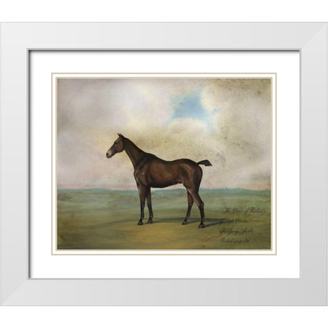 The Prince Rohans Favorite Hunter White Modern Wood Framed Art Print with Double Matting by McCavitt, Naomi