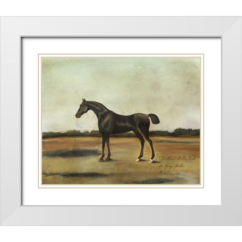 Trentham- A Bay Colt White Modern Wood Framed Art Print with Double Matting by McCavitt, Naomi