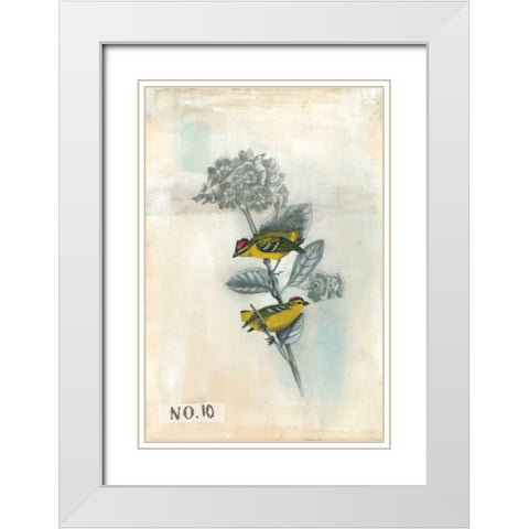 After Flight II White Modern Wood Framed Art Print with Double Matting by McCavitt, Naomi