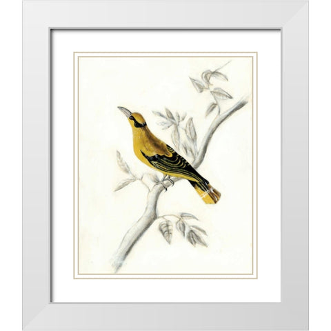 Rustic Aviary II White Modern Wood Framed Art Print with Double Matting by McCavitt, Naomi