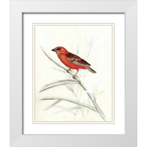 Rustic Aviary IV White Modern Wood Framed Art Print with Double Matting by McCavitt, Naomi