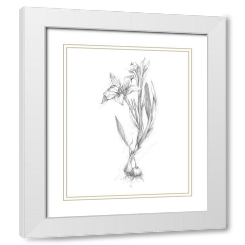 Botanical Sketch I White Modern Wood Framed Art Print with Double Matting by Harper, Ethan