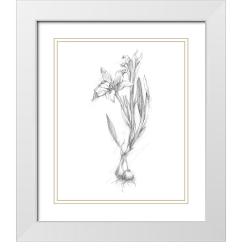 Botanical Sketch I White Modern Wood Framed Art Print with Double Matting by Harper, Ethan