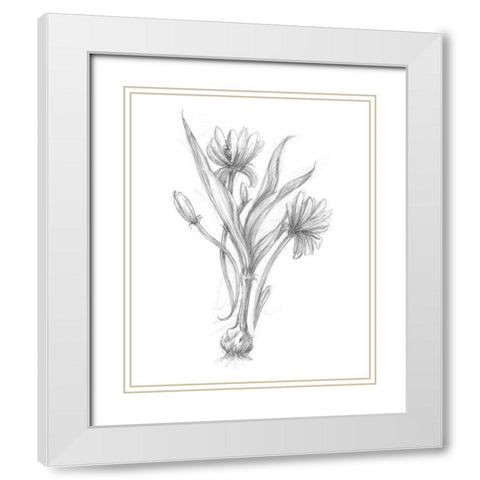 Botanical Sketch III White Modern Wood Framed Art Print with Double Matting by Harper, Ethan