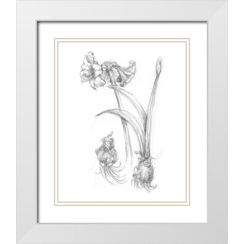 Botanical Sketch IV White Modern Wood Framed Art Print with Double Matting by Harper, Ethan