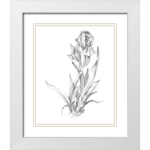 Botanical Sketch VI White Modern Wood Framed Art Print with Double Matting by Harper, Ethan