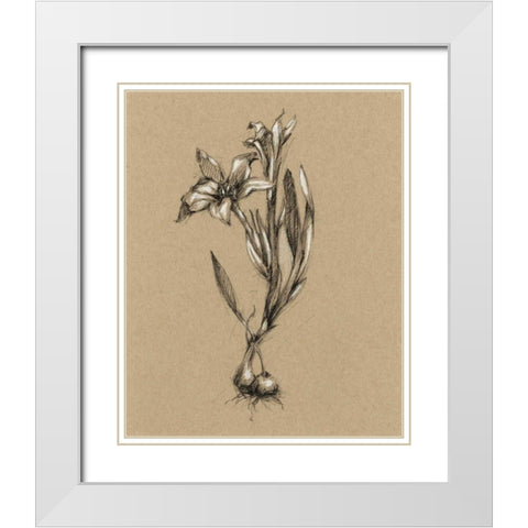 Botanical Sketch Black and White I White Modern Wood Framed Art Print with Double Matting by Harper, Ethan