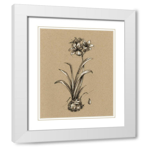Botanical Sketch Black and White II White Modern Wood Framed Art Print with Double Matting by Harper, Ethan